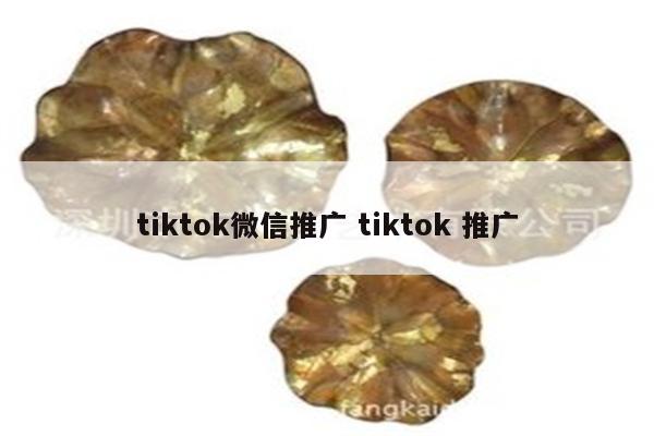 tiktok微信推广 tiktok 推广
