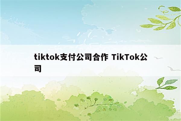 tiktok支付公司合作 TikTok公司