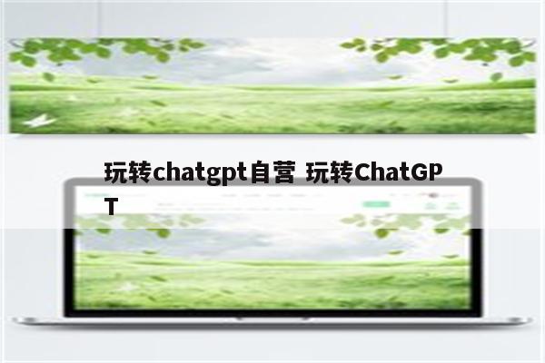 玩转chatgpt自营 玩转ChatGPT