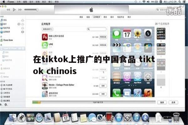在tiktok上推广的中国食品 tiktok chinois
