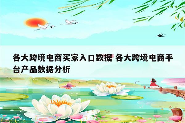 各大跨境电商买家入口数据 各大跨境电商平台产品数据分析