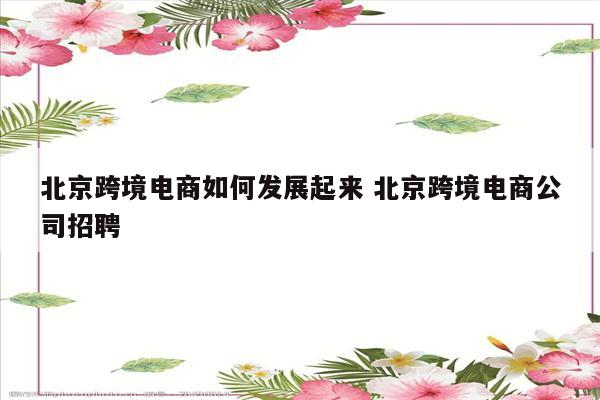北京跨境电商如何发展起来 北京跨境电商公司招聘
