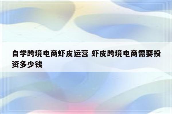 自学跨境电商虾皮运营 虾皮跨境电商需要投资多少钱