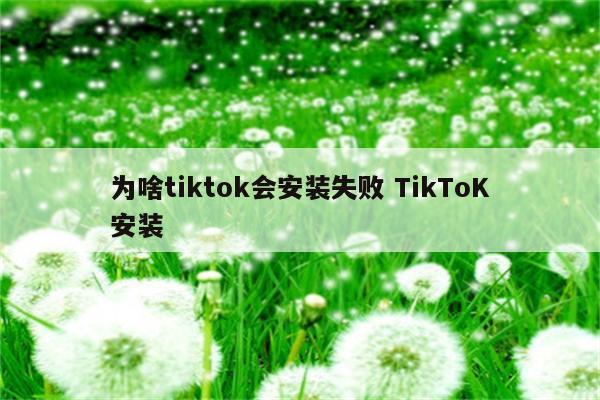 为啥tiktok会安装失败 TikToK安装