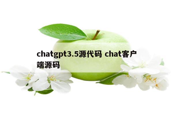 chatgpt3.5源代码 chat客户端源码