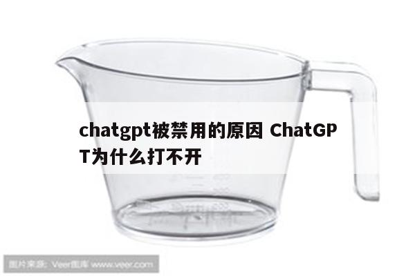 chatgpt被禁用的原因 ChatGPT为什么打不开