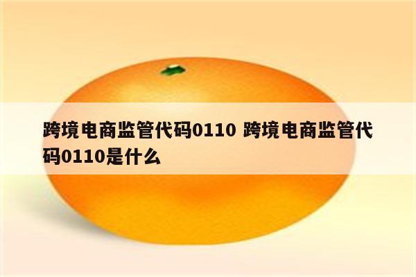 跨境电商监管代码0110 跨境电商监管代码0110是什么