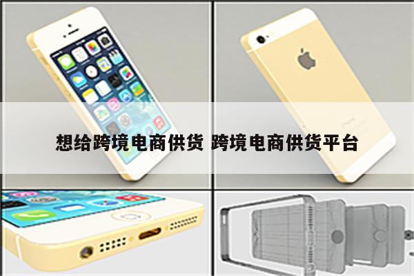 想给跨境电商供货 跨境电商供货平台