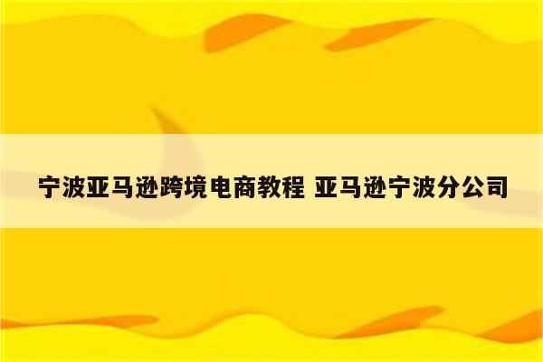 宁波亚马逊跨境电商教程 亚马逊宁波分公司