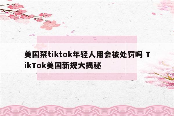 美国禁tiktok年轻人用会被处罚吗 TikTok美国新规大揭秘