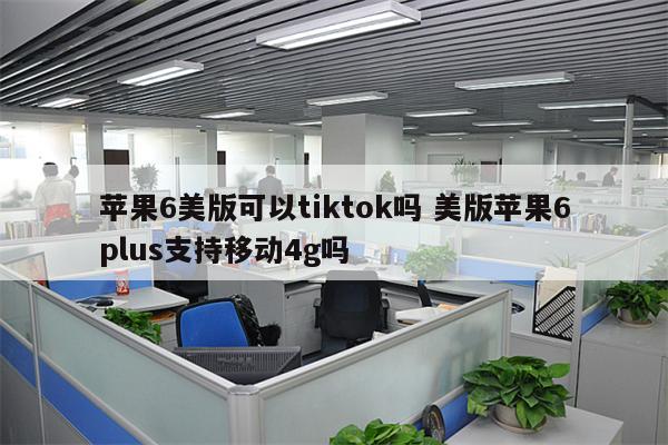 苹果6美版可以tiktok吗 美版苹果6plus支持移动4g吗