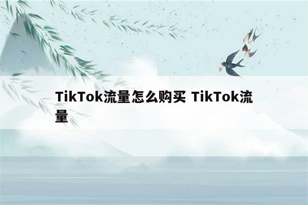 TikTok流量怎么购买 TikTok流量