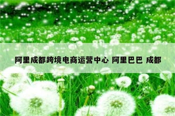 阿里成都跨境电商运营中心 阿里巴巴 成都