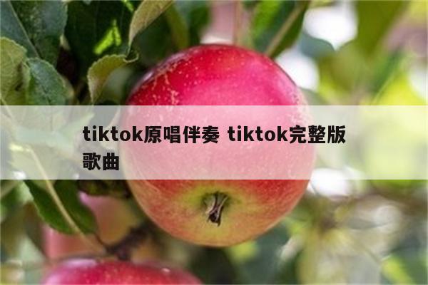 tiktok原唱伴奏 tiktok完整版歌曲