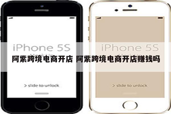 阿紫跨境电商开店 阿紫跨境电商开店赚钱吗