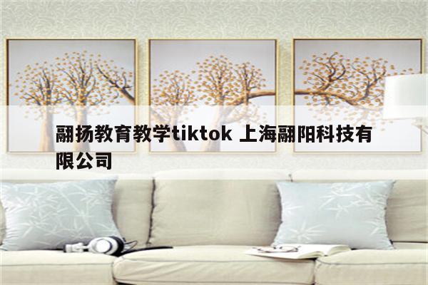 翮扬教育教学tiktok 上海翮阳科技有限公司
