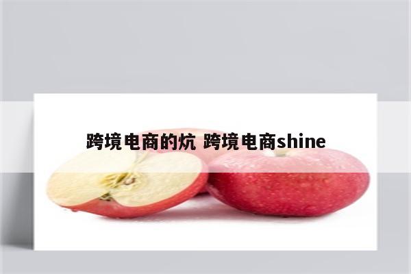 跨境电商的炕 跨境电商shine