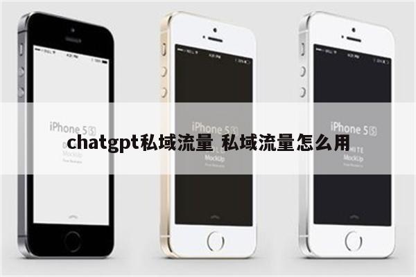 chatgpt私域流量 私域流量怎么用