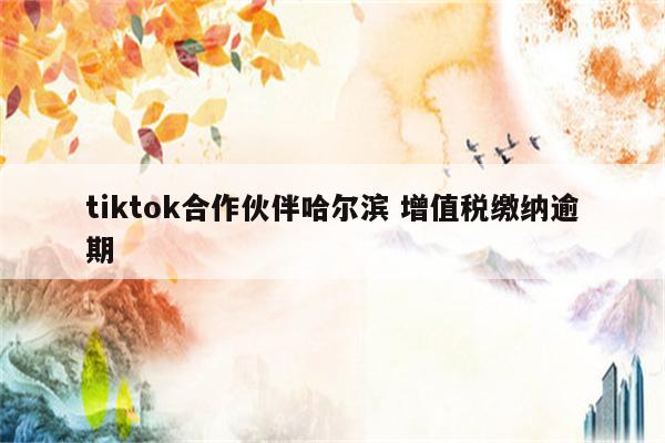 tiktok合作伙伴哈尔滨 增值税缴纳逾期
