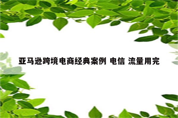 亚马逊跨境电商经典案例 电信 流量用完