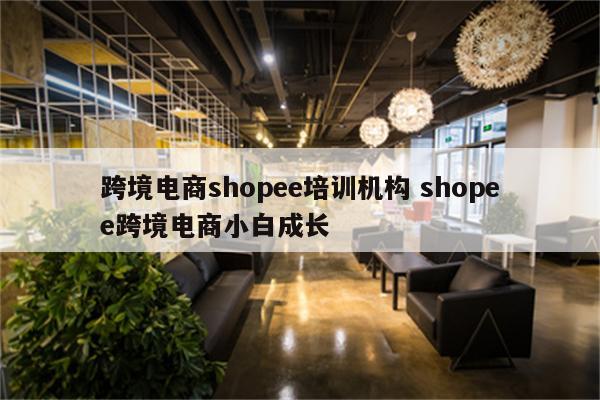 跨境电商shopee培训机构 shopee跨境电商小白成长