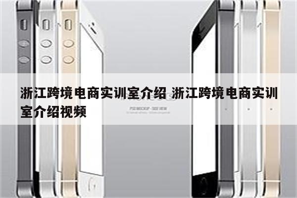 浙江跨境电商实训室介绍 浙江跨境电商实训室介绍视频