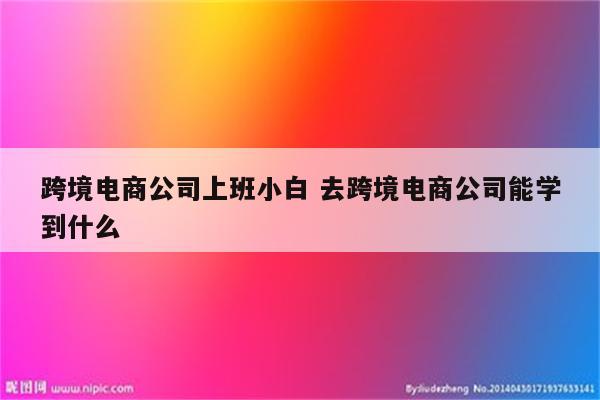 跨境电商公司上班小白 去跨境电商公司能学到什么