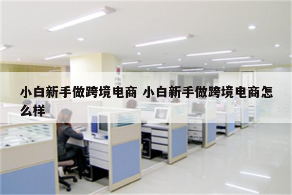 小白新手做跨境电商 小白新手做跨境电商怎么样