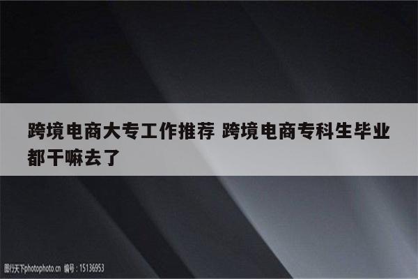 跨境电商大专工作推荐 跨境电商专科生毕业都干嘛去了