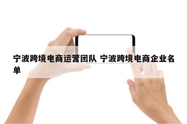 宁波跨境电商运营团队 宁波跨境电商企业名单