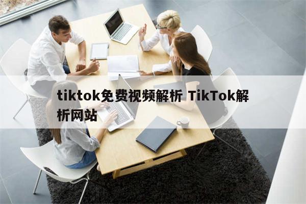 tiktok免费视频解析 TikTok解析网站