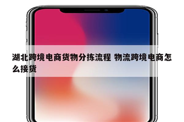 湖北跨境电商货物分拣流程 物流跨境电商怎么接货