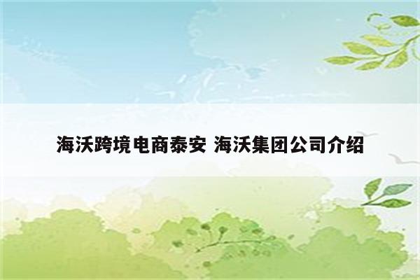 海沃跨境电商泰安 海沃集团公司介绍