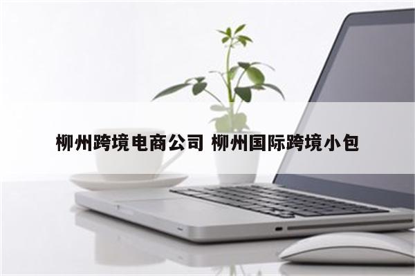 柳州跨境电商公司 柳州国际跨境小包