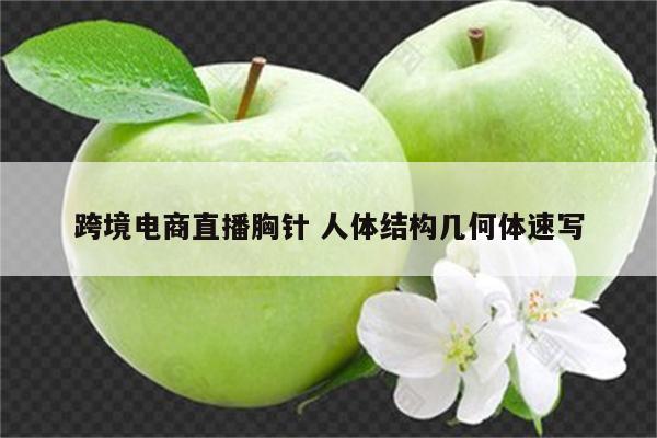 跨境电商直播胸针 人体结构几何体速写