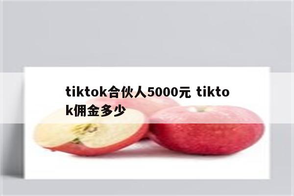 tiktok合伙人5000元 tiktok佣金多少