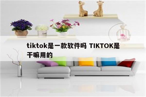 tiktok是一款软件吗 TIKTOK是干嘛用的