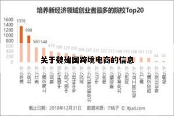 关于魏建国跨境电商的信息