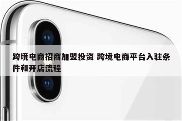 跨境电商招商加盟投资 跨境电商平台入驻条件和开店流程