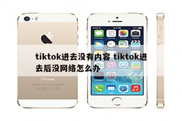 tiktok进去没有内容 tiktok进去后没网络怎么办