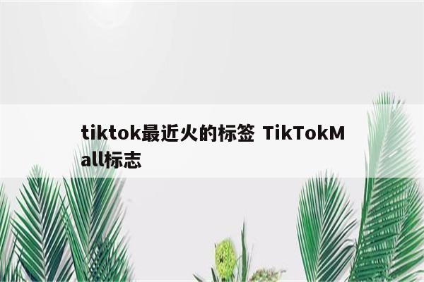 tiktok最近火的标签 TikTokMall标志