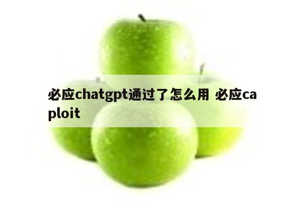 必应chatgpt通过了怎么用 必应caploit