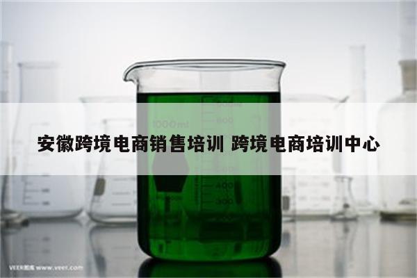 安徽跨境电商销售培训 跨境电商培训中心