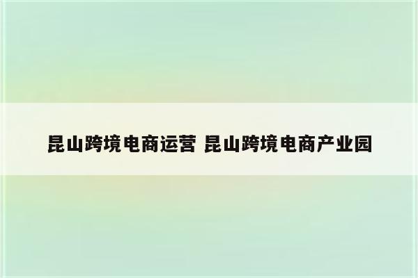 昆山跨境电商运营 昆山跨境电商产业园