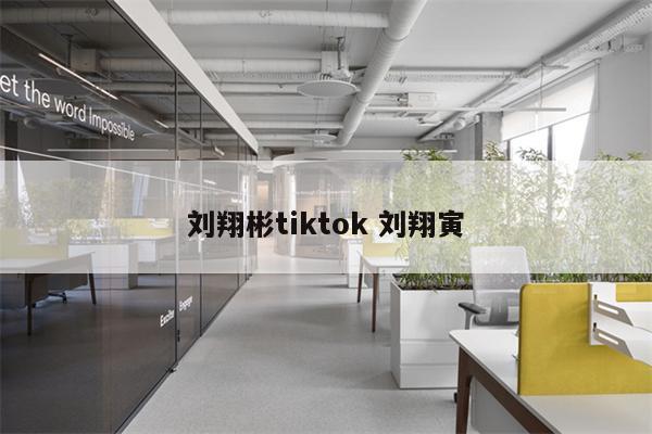 刘翔彬tiktok 刘翔寅