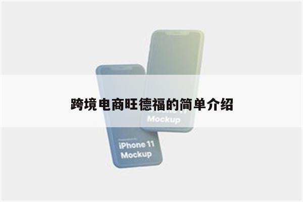 跨境电商旺德福的简单介绍
