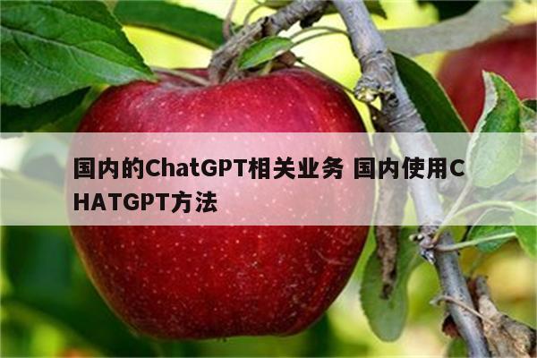 国内的ChatGPT相关业务 国内使用CHATGPT方法