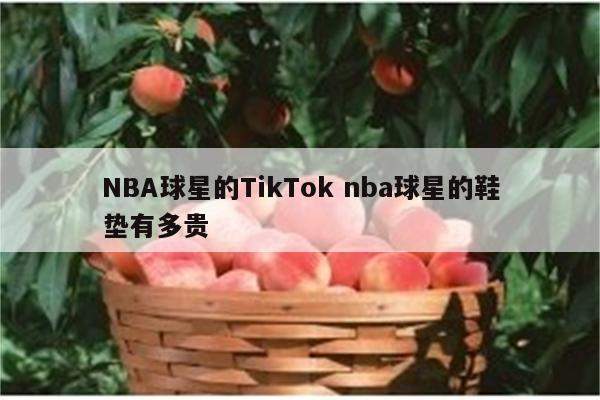 NBA球星的TikTok nba球星的鞋垫有多贵