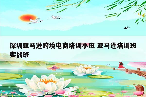 深圳亚马逊跨境电商培训小班 亚马逊培训班实战班