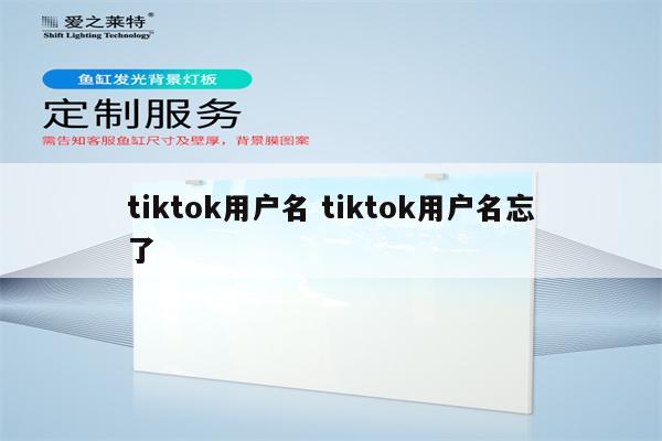 tiktok用户名 tiktok用户名忘了